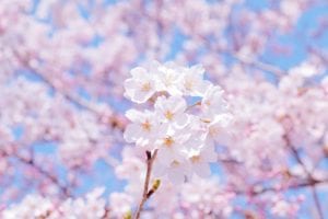 卒業おめでとう㊗️