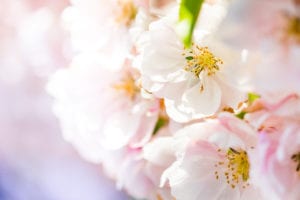 新学期のはじまり